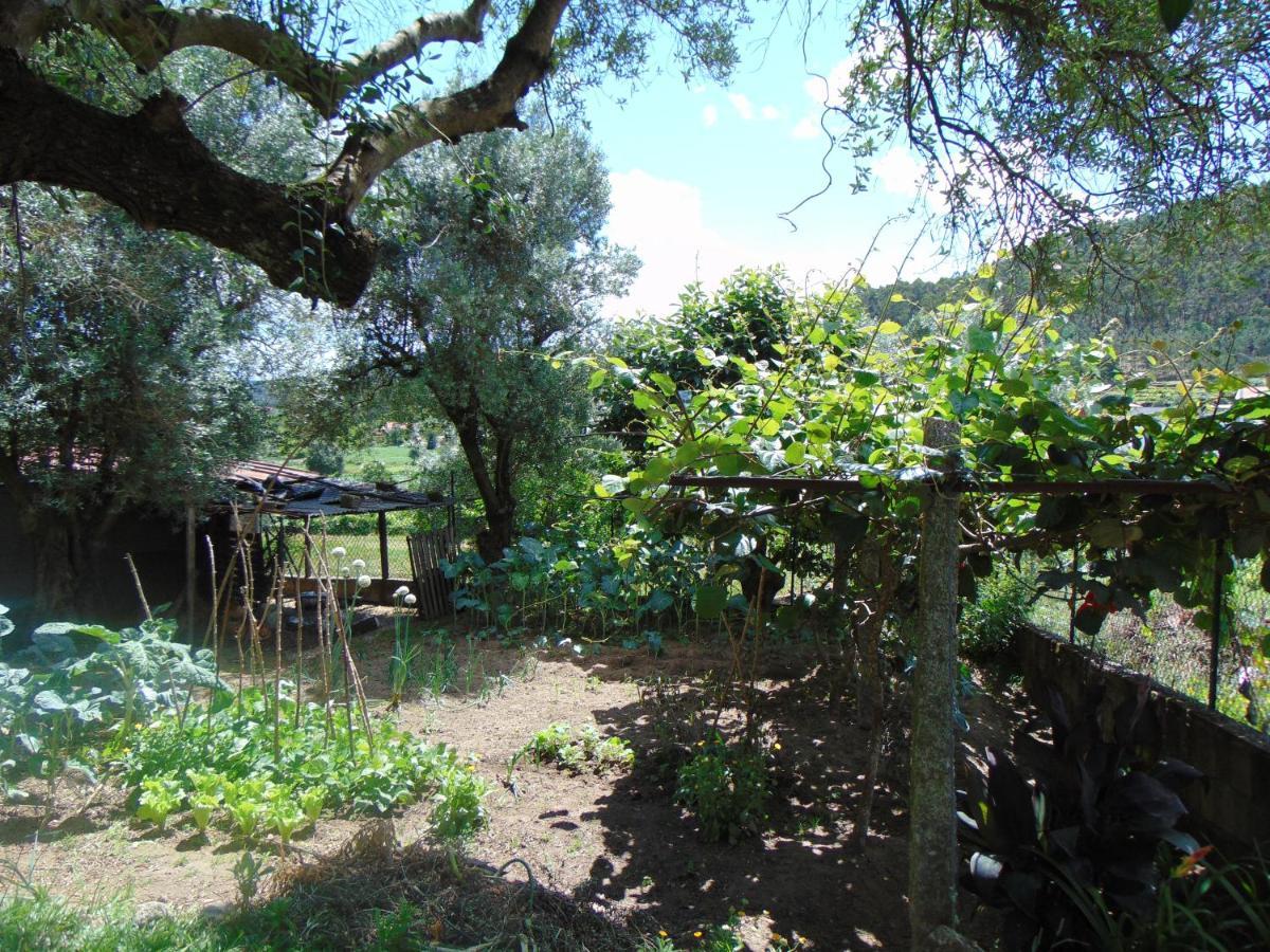 Casa Rebelo Pension Cossourado  Buitenkant foto