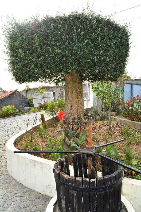 Casa Rebelo Pension Cossourado  Buitenkant foto
