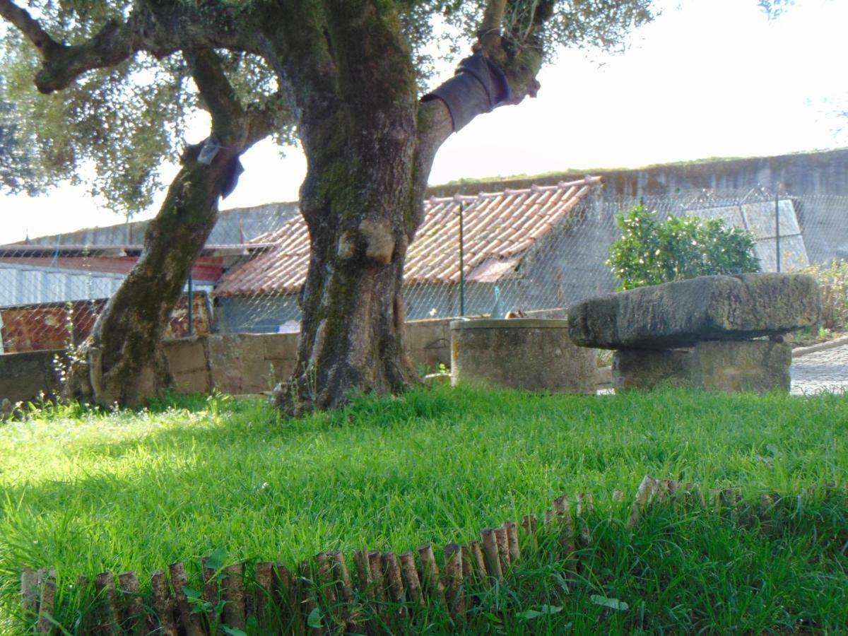 Casa Rebelo Pension Cossourado  Buitenkant foto
